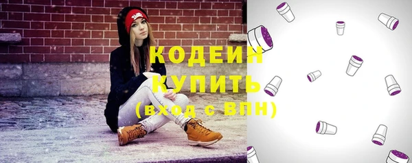 крисы Коряжма