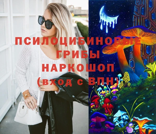 2c-b Лагань