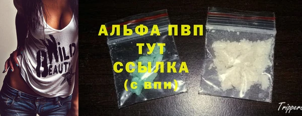 эйфоретик Покачи