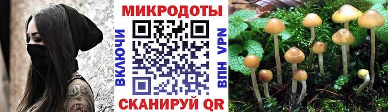 Галлюциногенные грибы Cubensis  Лесозаводск 