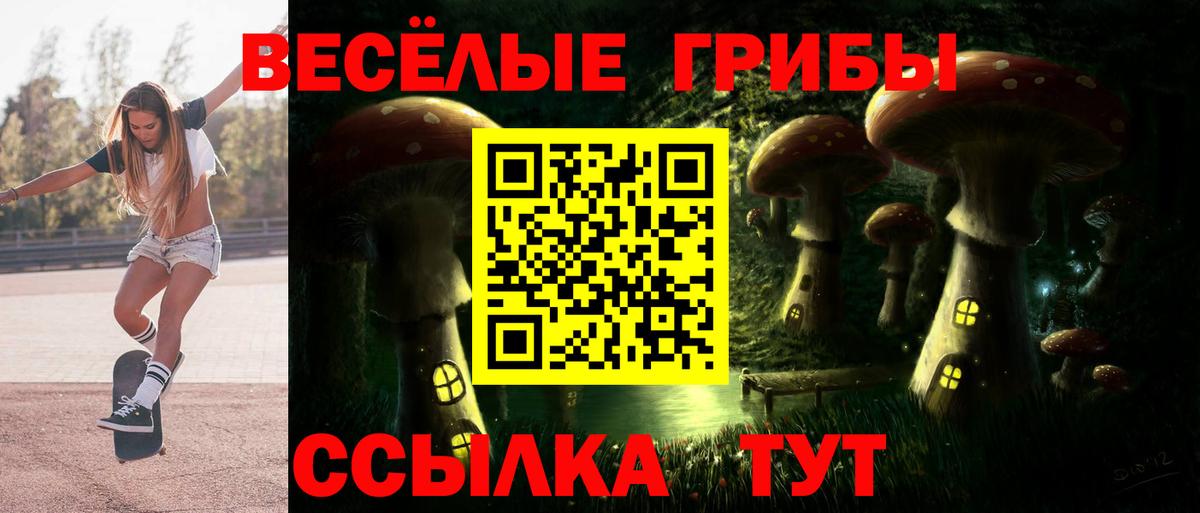 Псилоцибиновые грибы GOLDEN TEACHER  закладка  Лесозаводск  Вход с VPN  Псилоцибиновые грибы ЛСД 